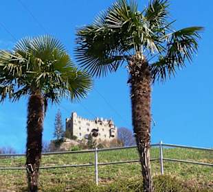 Schloss 'unter Palmen'