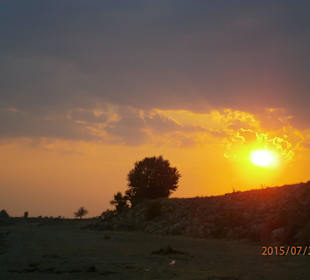 Sunset on the river shore