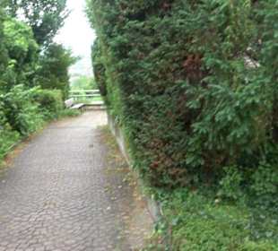 Kloster St. Michael Mönchberg