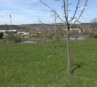 Aussichtspavillon Beutenlay