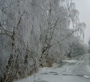 Alles weiss an der Isar