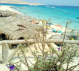 Paradies zum chillen