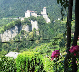 Aussicht auf Schloss Tirol