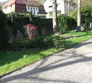 Stadtrundgang Blaubeuren