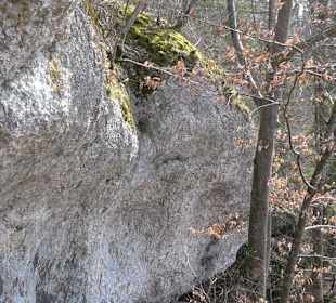 Fürstlicher Park Inzigkofen
