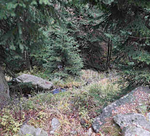 Riesengebirge/Karkonosze