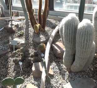 Berggarten