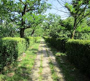 Cetatuia Park