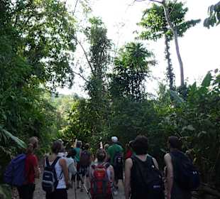 Typische Tour durch den Nationalpark