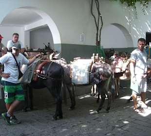 Esel-Taxi
