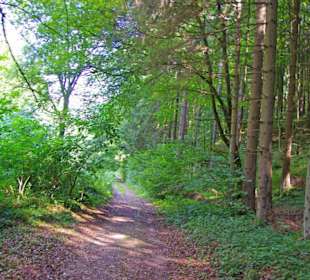 Der Therapeutische Wanderweg