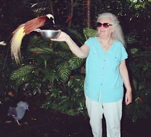 Vögel wie im Paradies