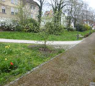 Unterwegs im sogen. Botanischen Garten von GEO