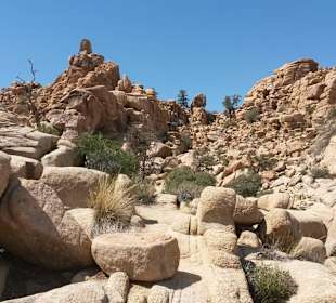 Joshua Tree National Park