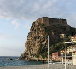 Scilla