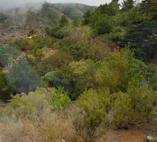 Landschaft von La Gomera
