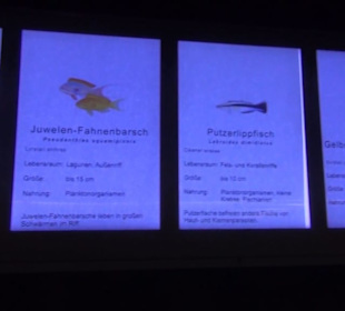 Meeresmuseum Stralsund