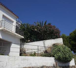 Roses espagne 