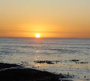 Hop On Hop Off Stadtrundfahrt in Kapstadt