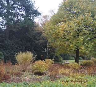 Parkanlage Planten un Blomen
