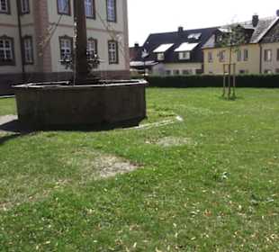 Breisacher Brunnen St. Peter