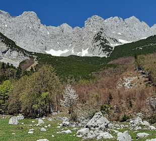 Wilder Kaiser