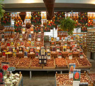 Tulpenmarkt