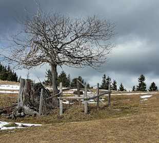 Wandern Heilbrunn