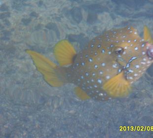 SUNRISE Grand Select Crystal Bay Resort