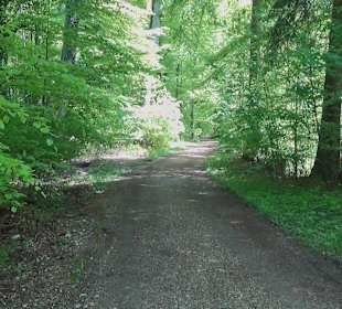 Rundwanderweg - Ottos Ruh