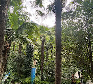 Die Gärten von Schloss Trauttmansdorff 