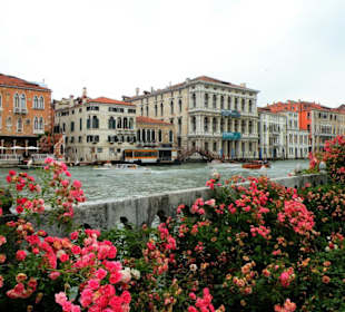 Privat-Garten am Canale Grande