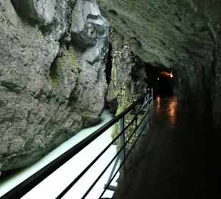 In der Aareschlucht
