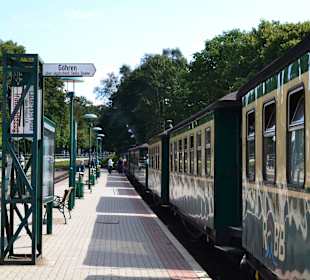 Rasender Roland in Binz