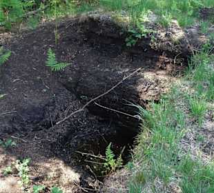 Alter Torfstich im Tarmstedter Moor