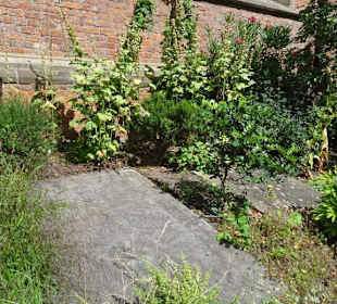 Der Bibelgarten des Bremer Doms