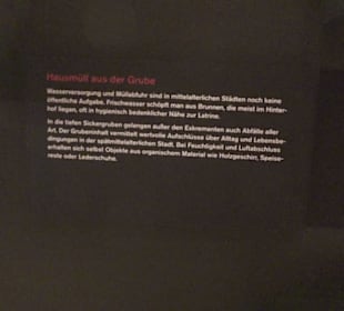 Rheinisches Landesmuseum