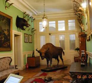 Galeria Myśliwska-skrzydło wschodnie