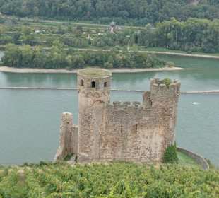 September 2023: Wanderung bei Rüdesheim