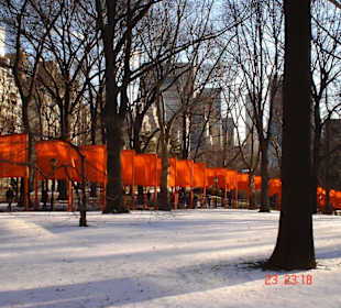 Central Park