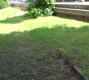 Alter Friedhof Altensteig