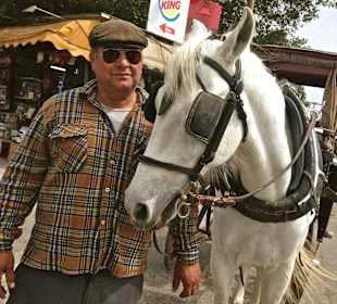 Mit Biskuit und Jimmy durch Valletta