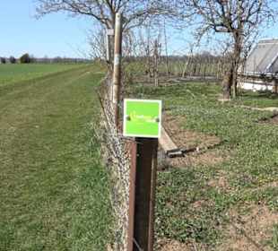 Premiumwanderweg "hochgeblickt"