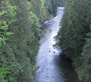 Capilano Suspension Bridge and Park