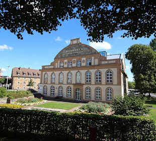 Ottoneum - Naturkundemuseum