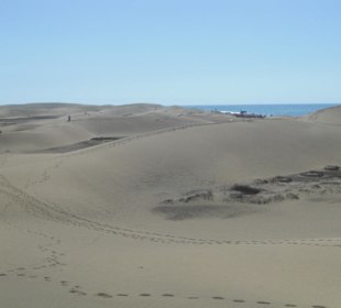 Dünen von Maspalomas