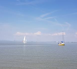 Neusiedler See