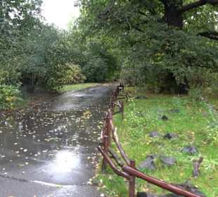 Tierpark