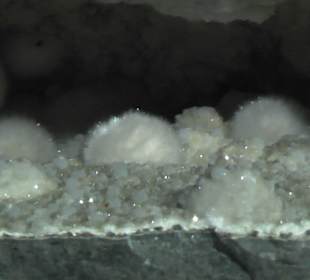 Elder-Museum Las Palmas