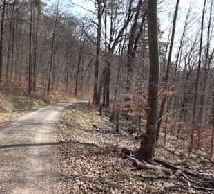 Geologischer Lehrpfad Kirnbachtal